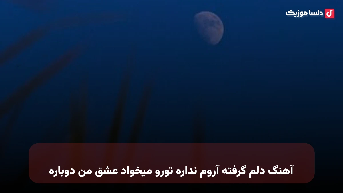  دلم گرفته آروم نداره تورو میخواد عشق من دوباره با صدای زن